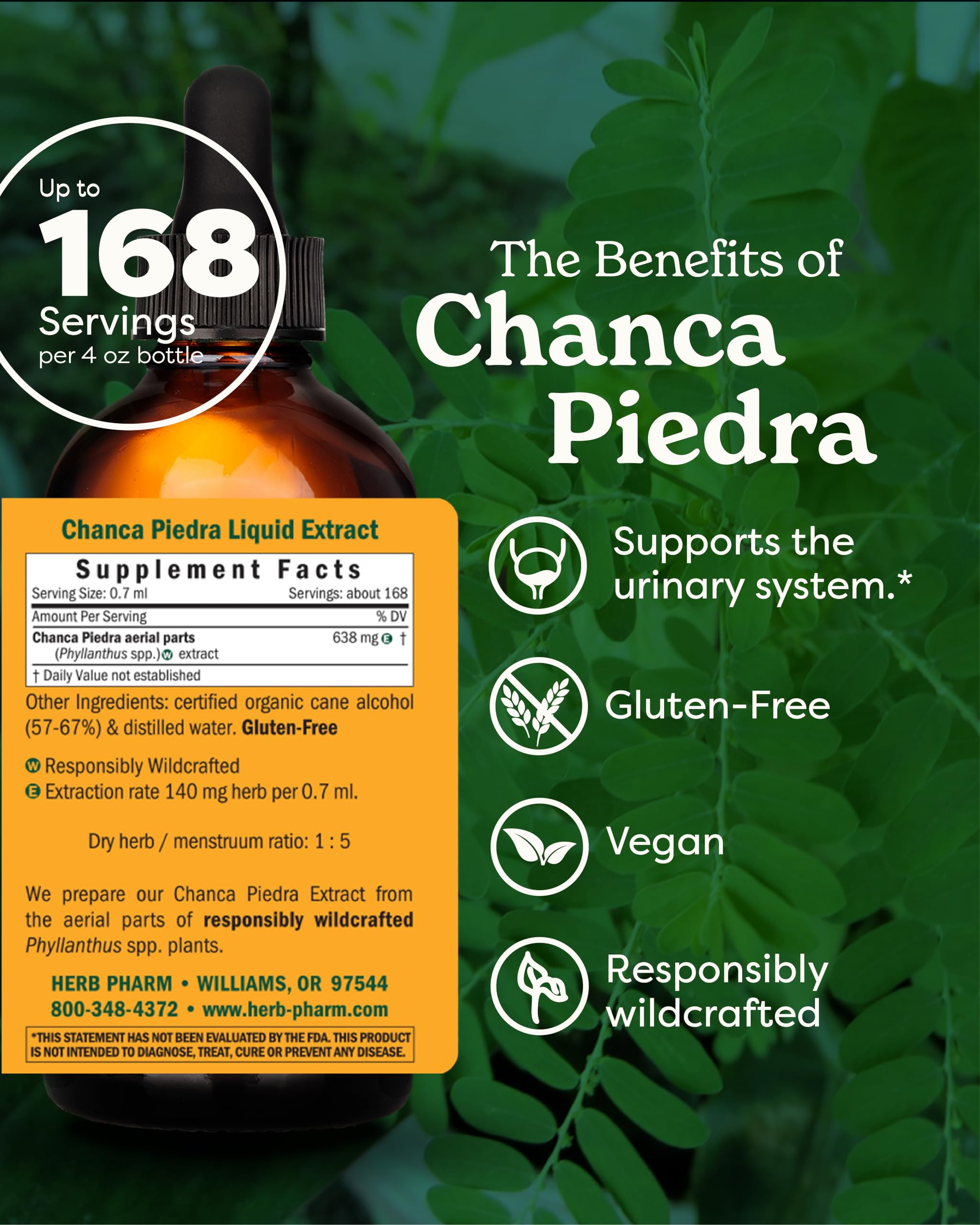 Herb Pharm Chanca Piedra Liquid Extract for Urinary System Support - 4 Ounce