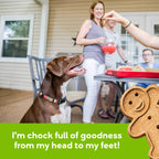 Buddy Biscuits Oven Baked Healthy Dog Treats, Crunchy, Whole Grain and Baked in the USA, 16 oz, 6 pack