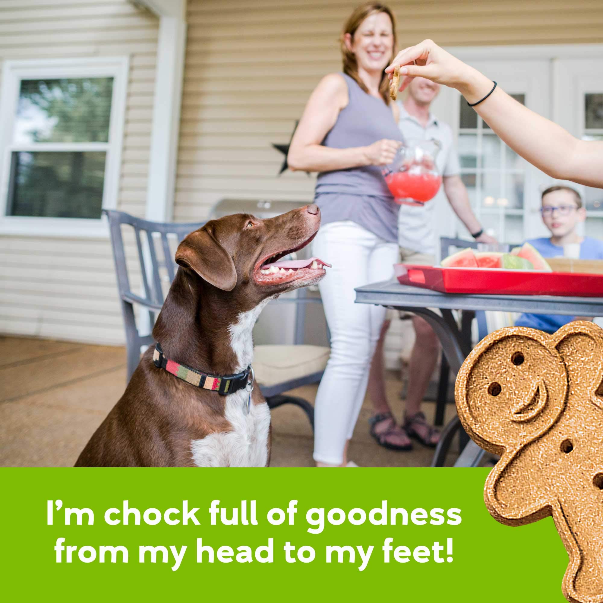 Buddy Biscuits Oven Baked Healthy Dog Treats, Crunchy, Whole Grain and Baked in the USA, 16 oz, 6 pack