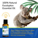 Earths Care Eucalyptus Oil - 100% Natural Eucalyptus Essential Oil - for Aromatherapy - Steam Distilled - 1 Fl OZ (4 Bottles)