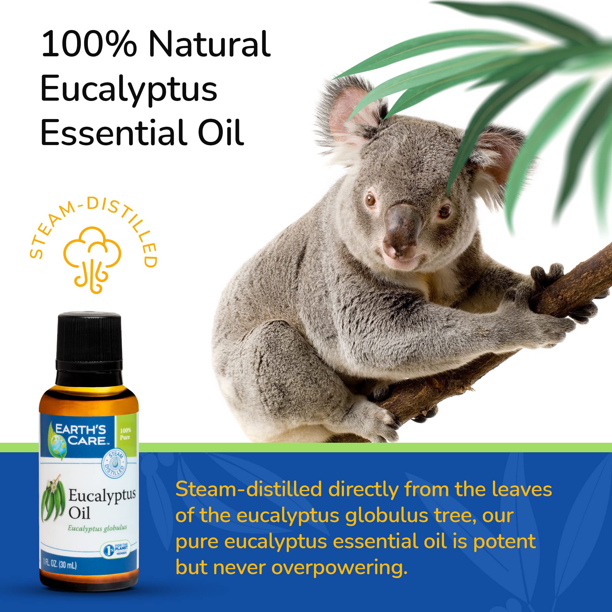 Earths Care Eucalyptus Oil - 100% Natural Eucalyptus Essential Oil - for Aromatherapy - Steam Distilled - 1 Fl OZ (4 Bottles)