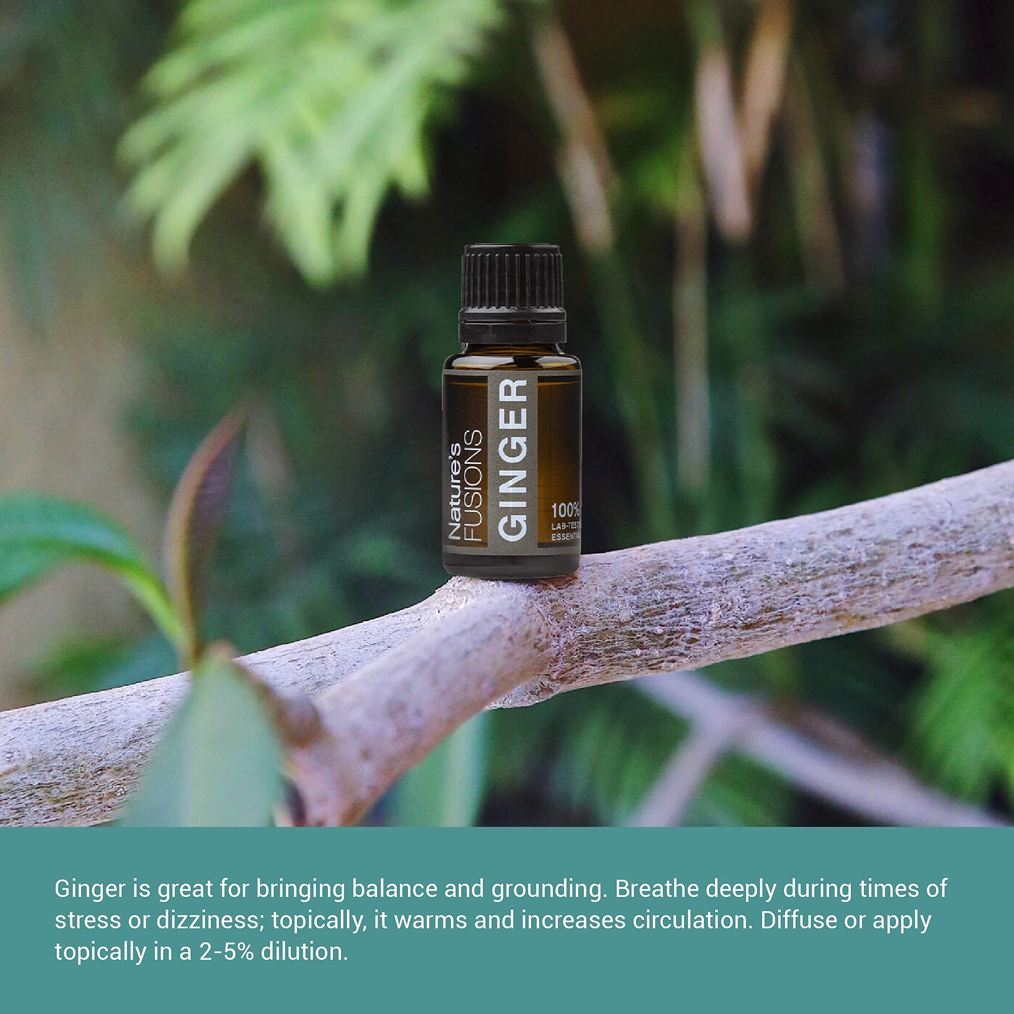 Natures Fusions Ginger Root, 100% Pure and Natural Essential Oils, Undiluted, Therapeutic Grade for Aromatherapy and Topical Us