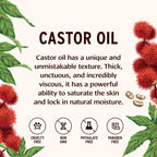 Banyan Botanicals Organic Castor Oil - Pure and Refined Castor Oil - for Face and Skin Care, Hair Care, and Natural Beauty - 24