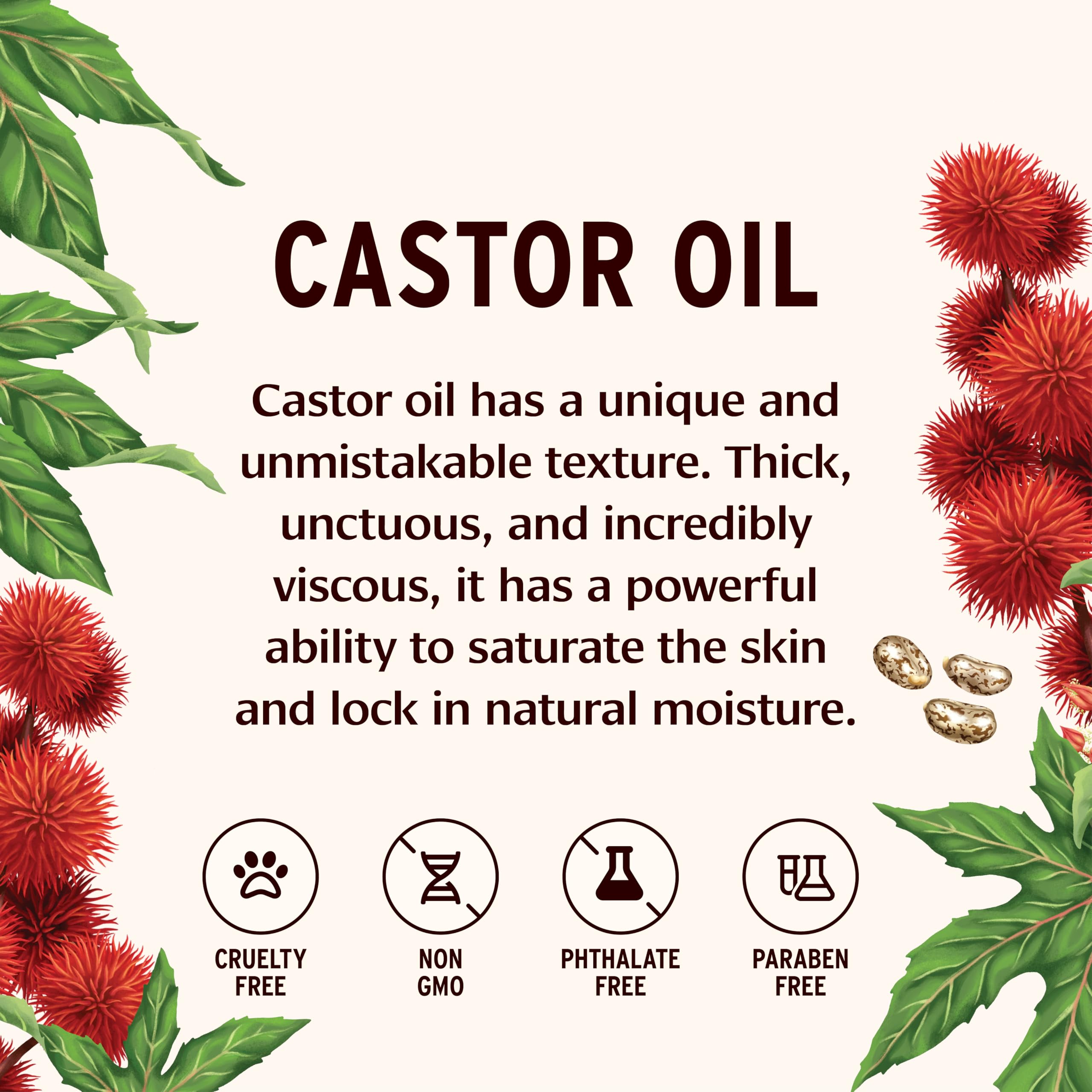 Banyan Botanicals Organic Castor Oil - Pure and Refined Castor Oil - for Face and Skin Care, Hair Care, and Natural Beauty - 24