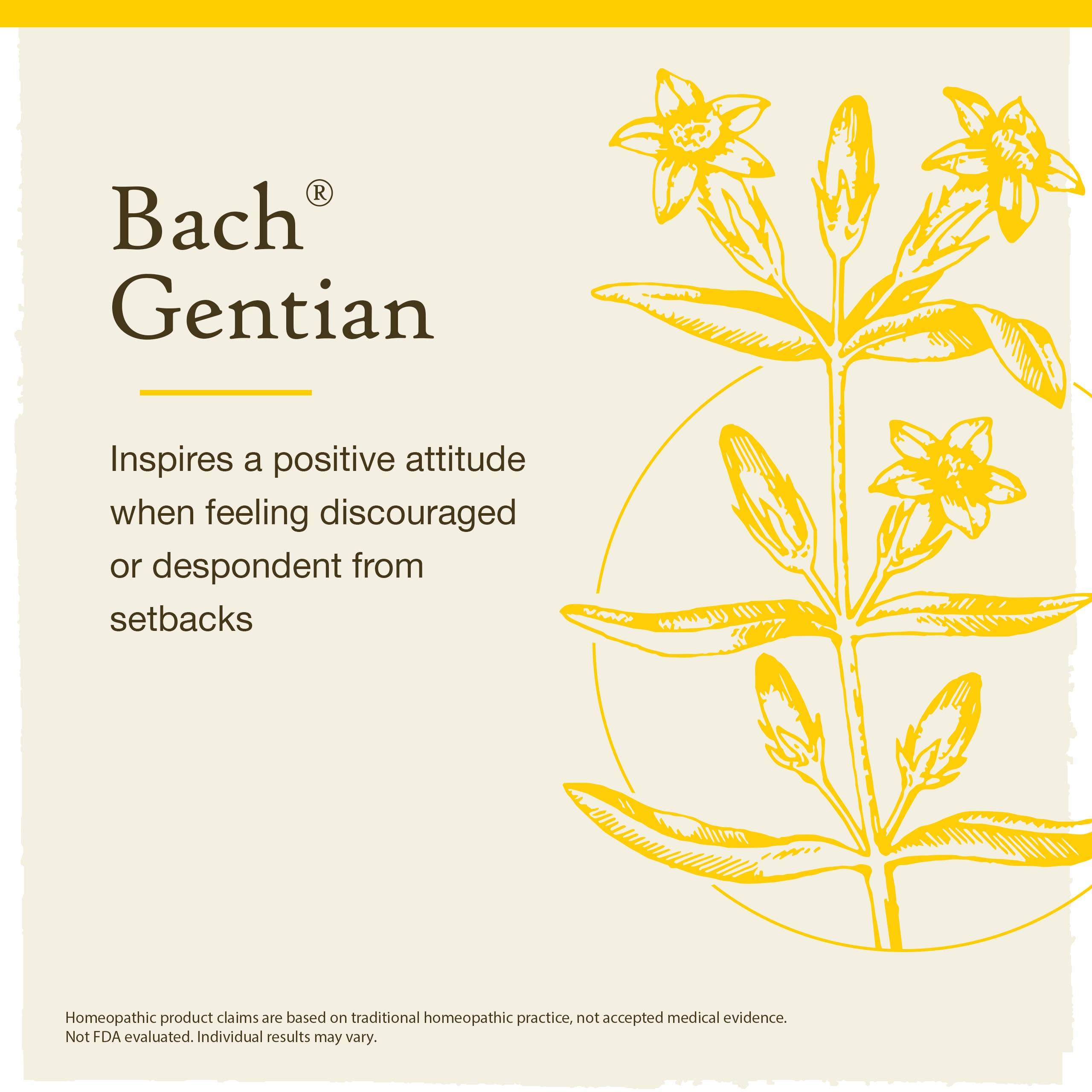 Bach Original Flower Remedies, Gentian for Accepting Setbacks, Natural Homeopathic Flower Essence, Holistic Wellness, Vegan, 20m