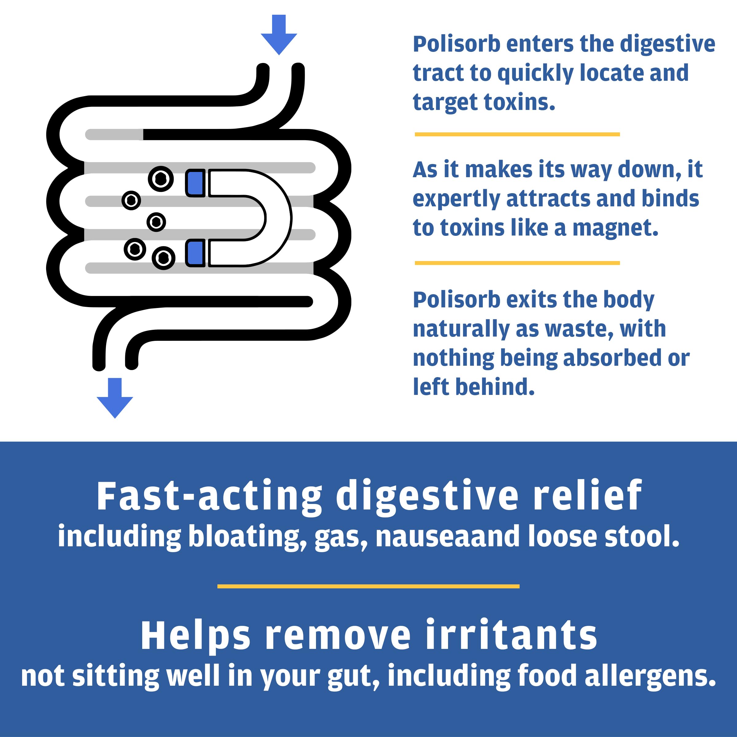 Detoxify Polisorb Digestive Tract Cleanse - Silicon Dioxide Detox Drink for Gut Health, Stomach Comfort & Cleansing, Mixes with