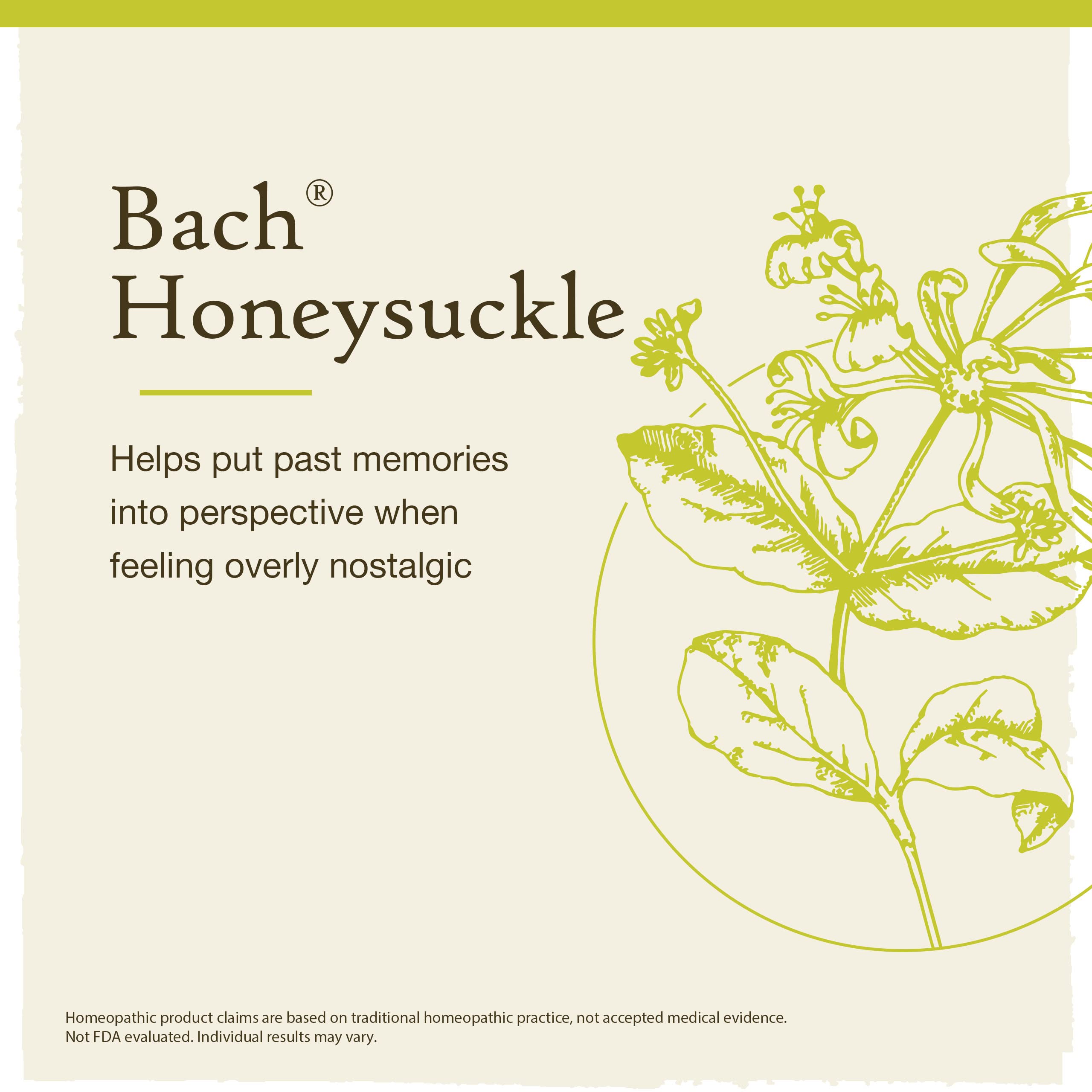 Bach Original Flower Remedies, Honeysuckle for Embracing the Now, Natural Homeopathic Flower Essence, Emotional Wellness and Str