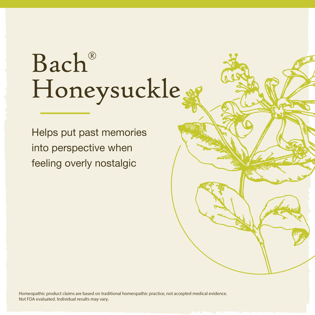 Bach Original Flower Remedies, Honeysuckle for Embracing the Now, Natural Homeopathic Flower Essence, Emotional Wellness and Str