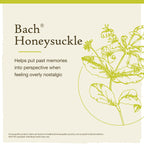 Bach Original Flower Remedies, Honeysuckle for Embracing the Now, Natural Homeopathic Flower Essence, Emotional Wellness and Str