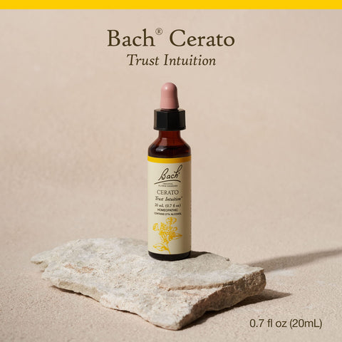 Bach Original Flower Remedies, Cerato for Trusting Intuition, Natural Homeopathic Flower Essence, Holistic Wellness and Stress R