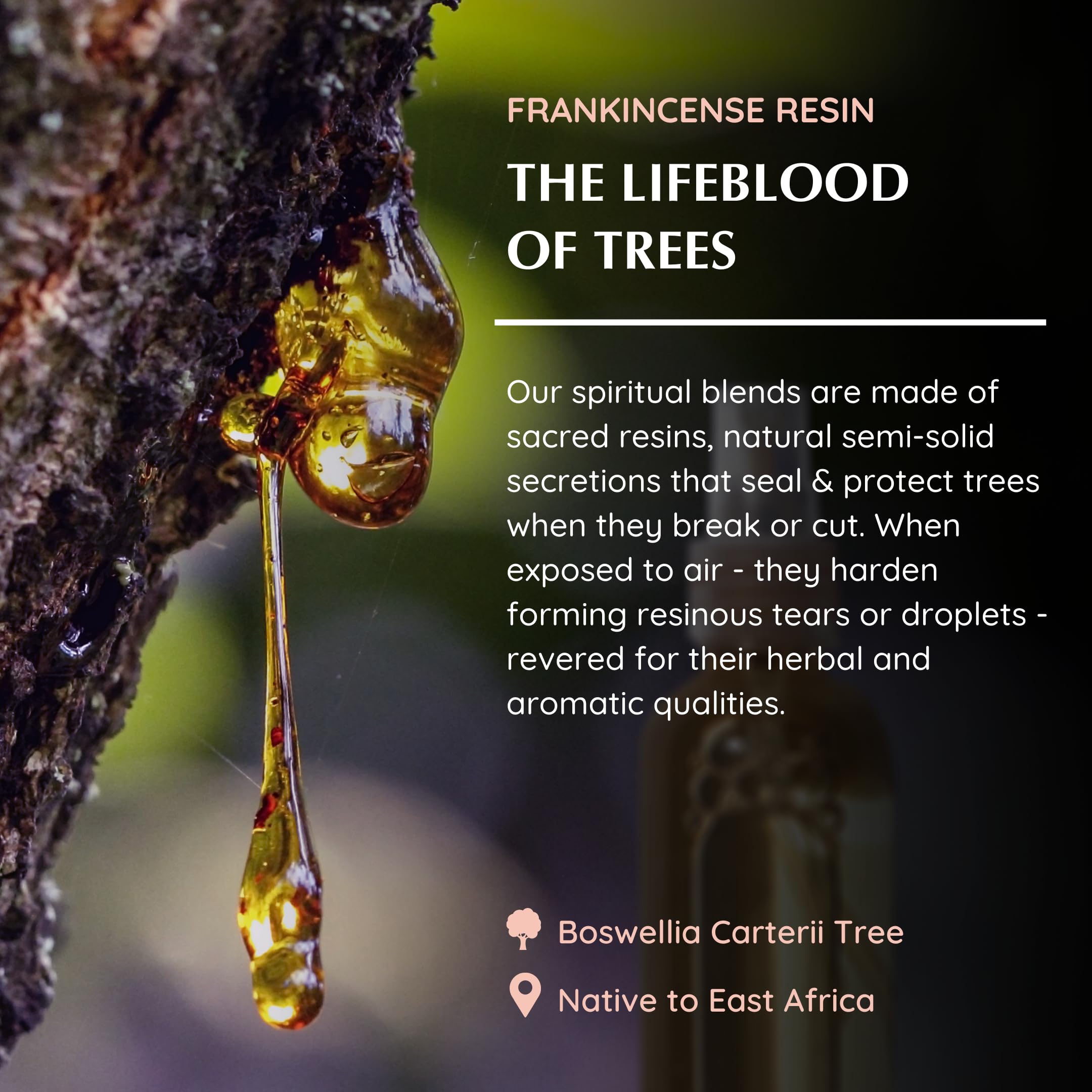 Frankincense Natural Resin Mist Spray by Aromafume | 100 ml / 3.3oz | Ideal for spirituality, prayer & rituals | Made with Frank