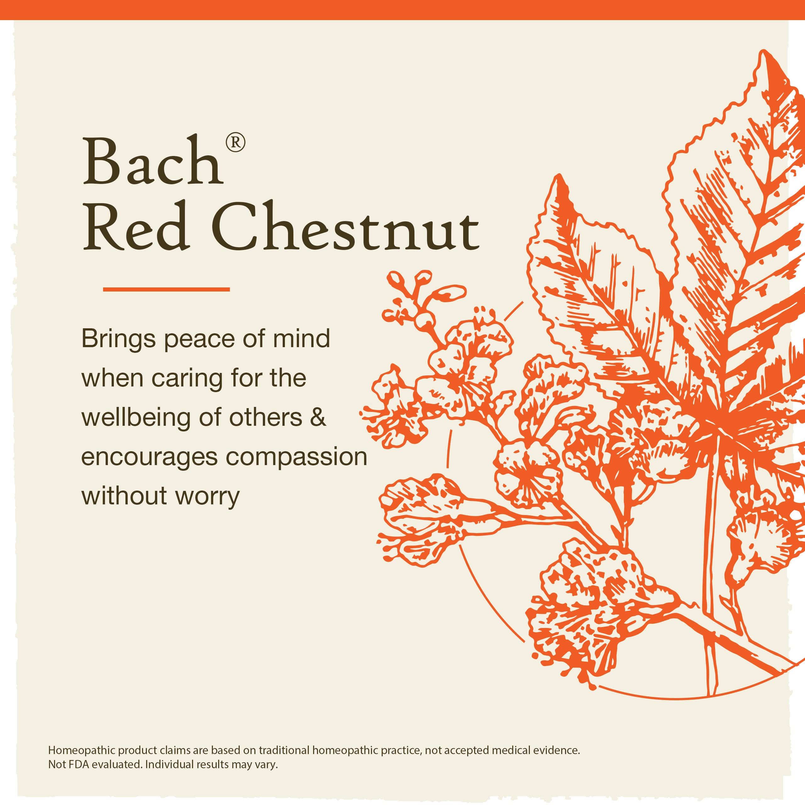 Bach Original Flower Remedies, Red Chestnut for Peace of Mind, Natural Homeopathic Flower Essence, Holistic Wellness and Stress