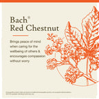 Bach Original Flower Remedies, Red Chestnut for Peace of Mind, Natural Homeopathic Flower Essence, Holistic Wellness and Stress