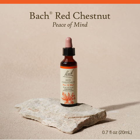 Bach Original Flower Remedies, Red Chestnut for Peace of Mind, Natural Homeopathic Flower Essence, Holistic Wellness and Stress 