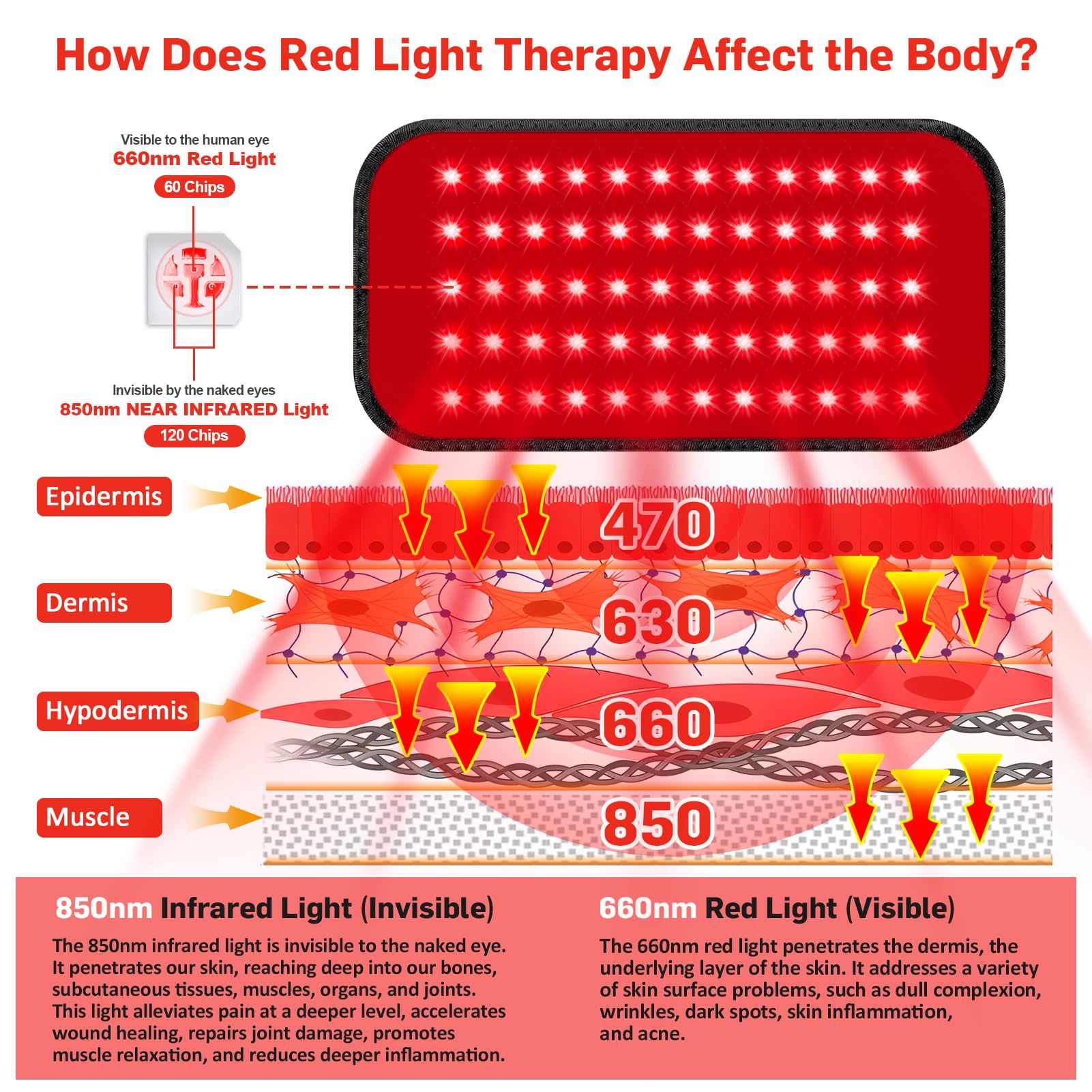 Red Light Therapy Belt, Infrared Light Therapy for Body, Wearable Wrap with Timer for Back Shoulder Waist Muscle Pain Relief, Im