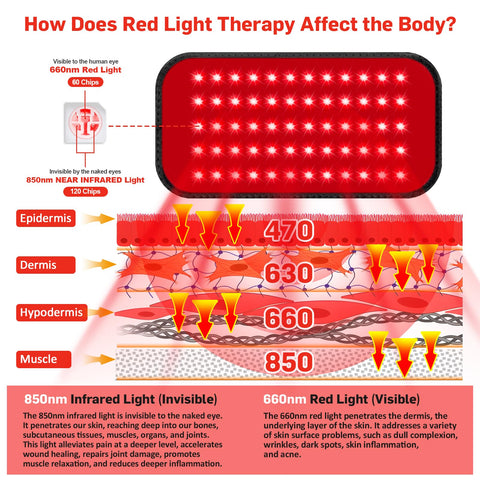 Red Light Therapy Belt, Infrared Light Therapy for Body, Wearable Wrap with Timer for Back Shoulder Waist Muscle Pain Relief, Im