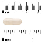 Gamma Oryzanol - from Rice Bran
