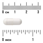 Alpha Lipoic Acid