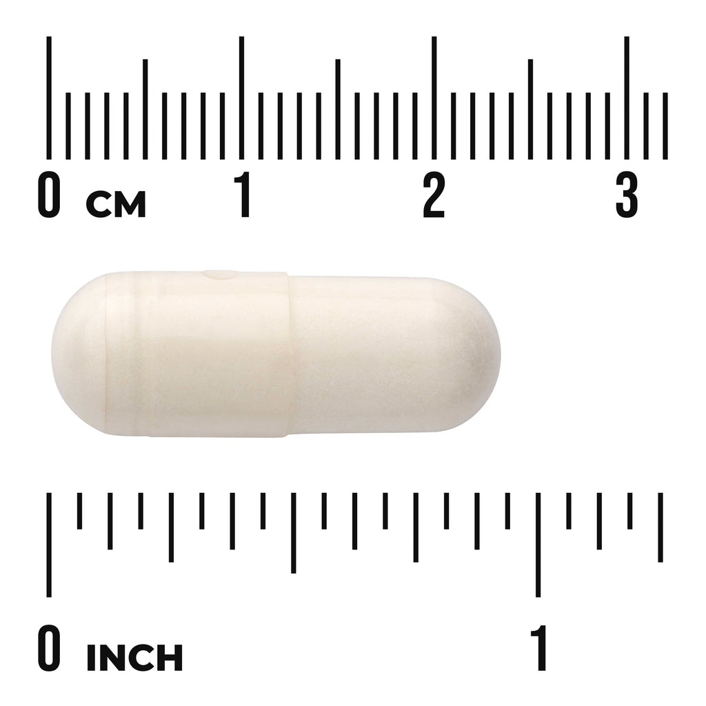 White Kidney Bean Extract