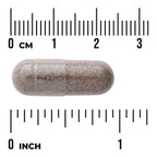 Mullein Leaf Extract - Standardized