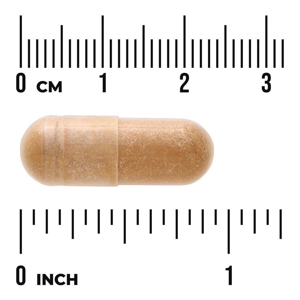 Fucoidan Extract