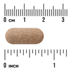 Orchic Glandular - Men's Health