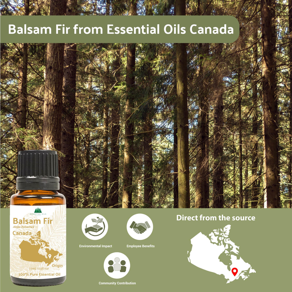 Nature Packaged Balsam Fir Essential Oil (15ml) - Direct from Our Farm Partner in Canada - Essential Oils for Home, Humidifier,