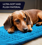 Heating Pad XL, Aqua Blue