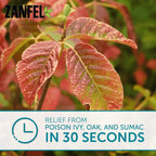 ZANFEL - Poison Ivy, Oak & Sumac Wash: Topical Solution for Poison Ivy, Poison Oak, and Sumac