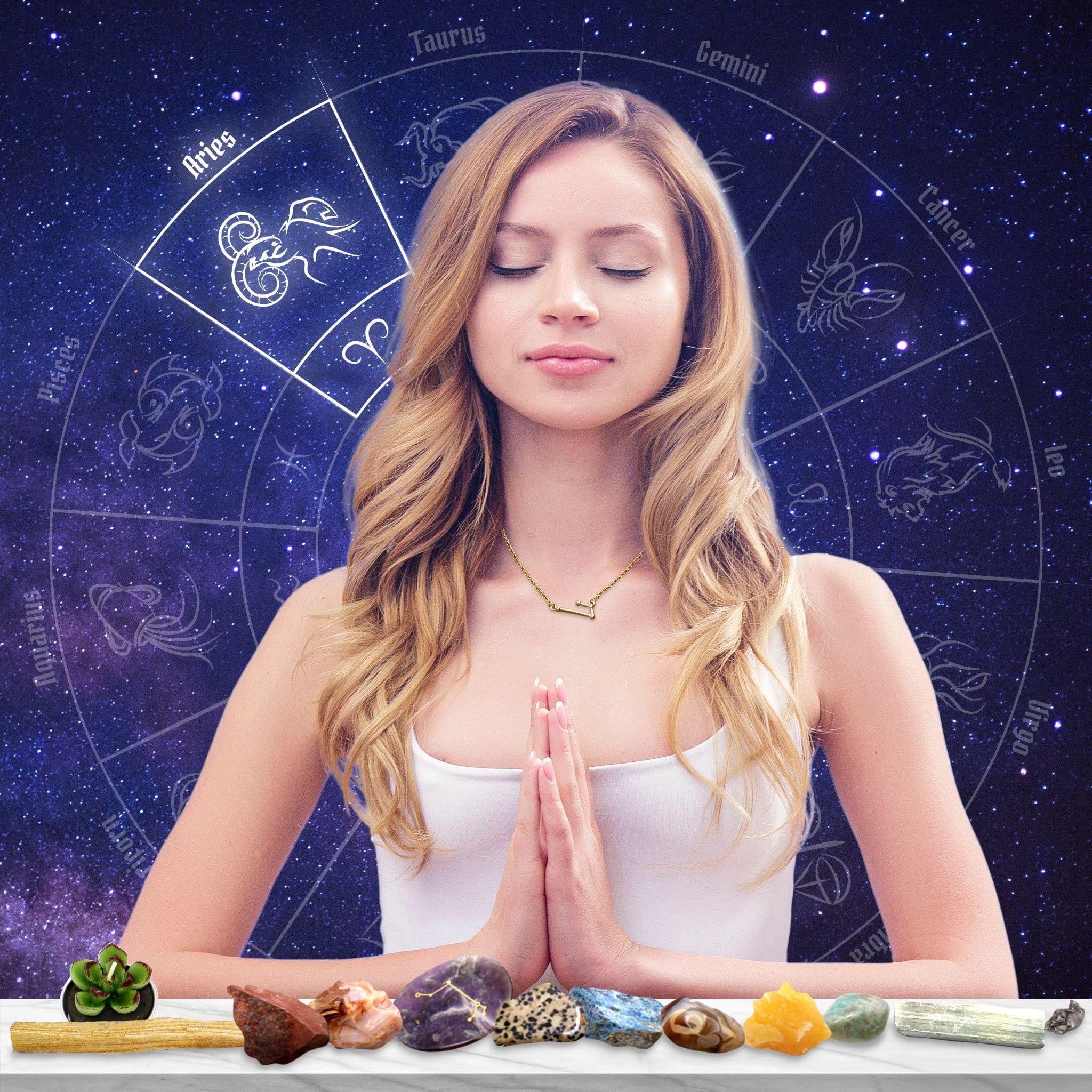 DANCING BEAR Aries Zodiac Healing Crystals Gift Set, (14 Pc): 9 Stones, 18K Gold-Plated Constellation Necklace, Meteorite, Succu