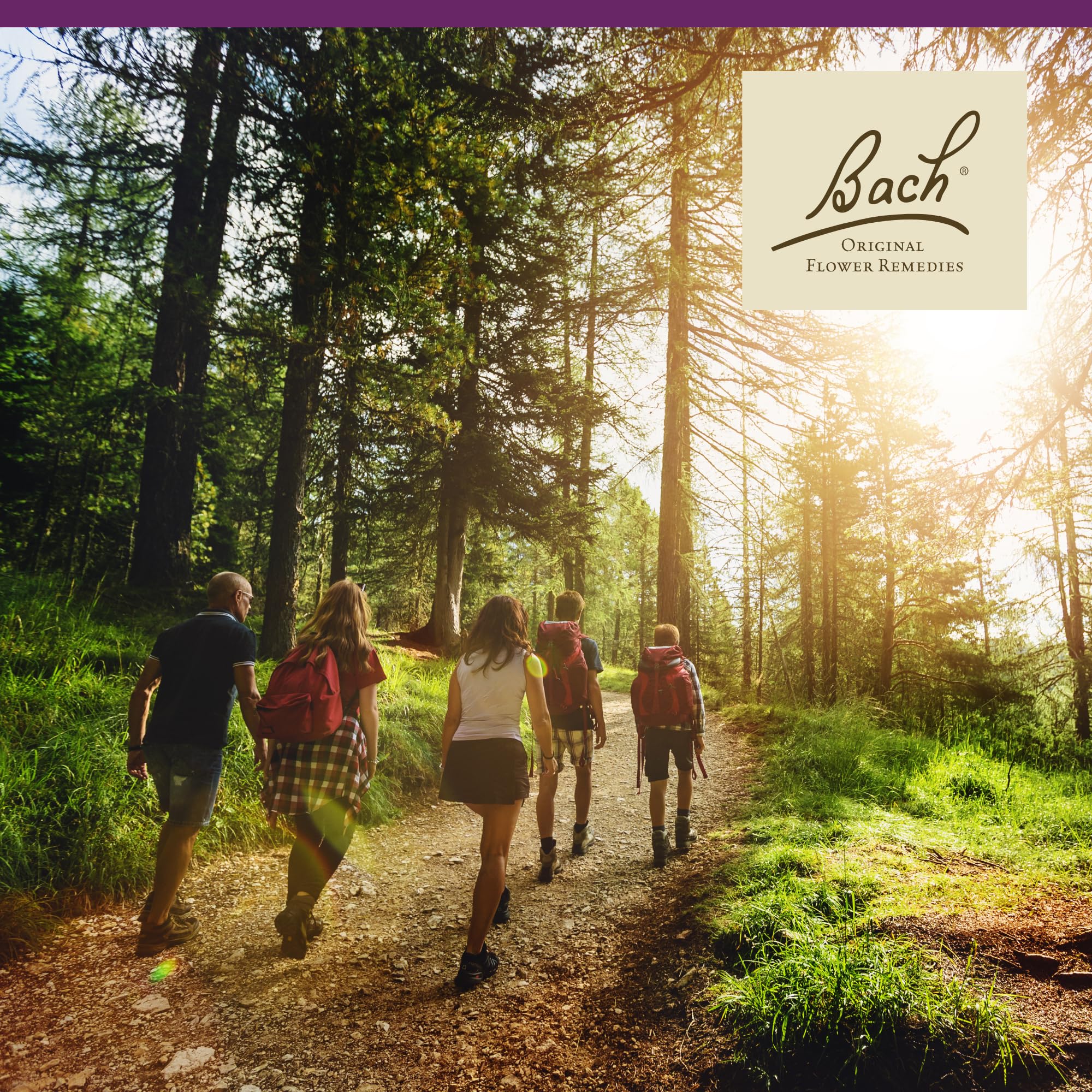 Bach Original Flower Remedies, Water Violet - Connect with Others - Natural Homeopathic Flower Essence for Emotional Balance - V