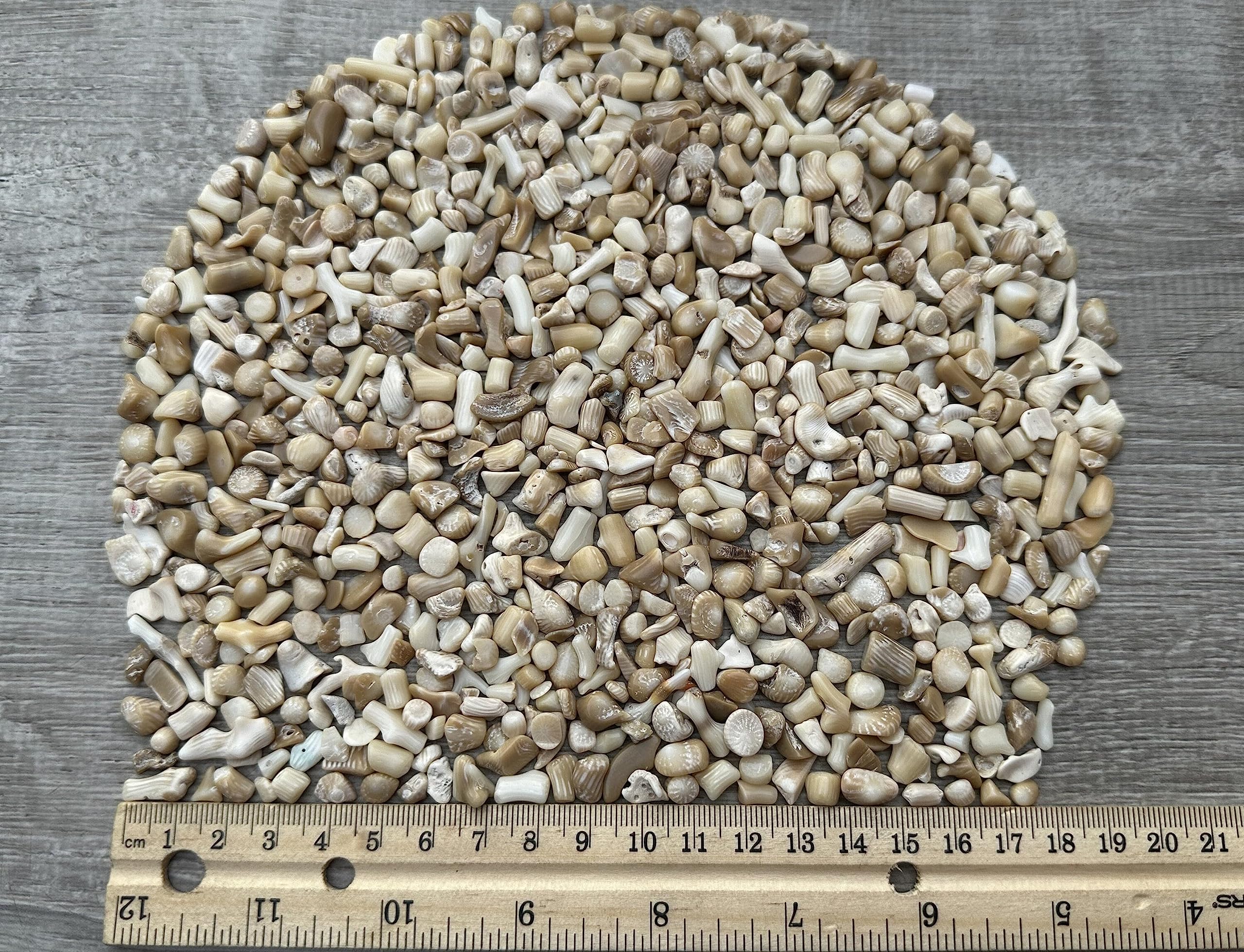GAF TREASURES 2 oz Lot Natural Semi Tumbled Gemstone Chips, Crushed Mini Crystals, Undrilled Crystal Chips (White Bamboo Coral)