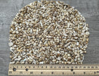 GAF TREASURES 2 oz Lot Natural Semi Tumbled Gemstone Chips, Crushed Mini Crystals, Undrilled Crystal Chips (White Bamboo Coral)