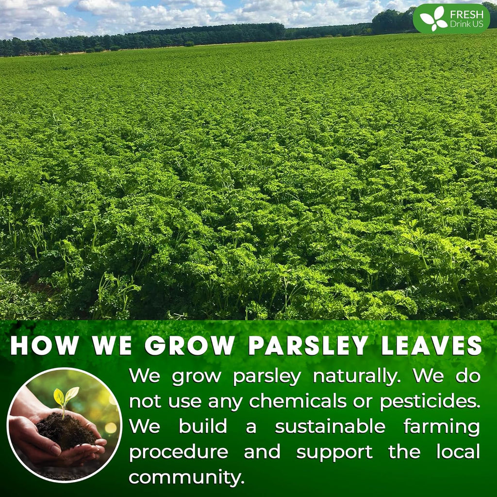 Premium Parsley Leaf Tea Bags, 100% Natural & Pure from Parsley Leaves.