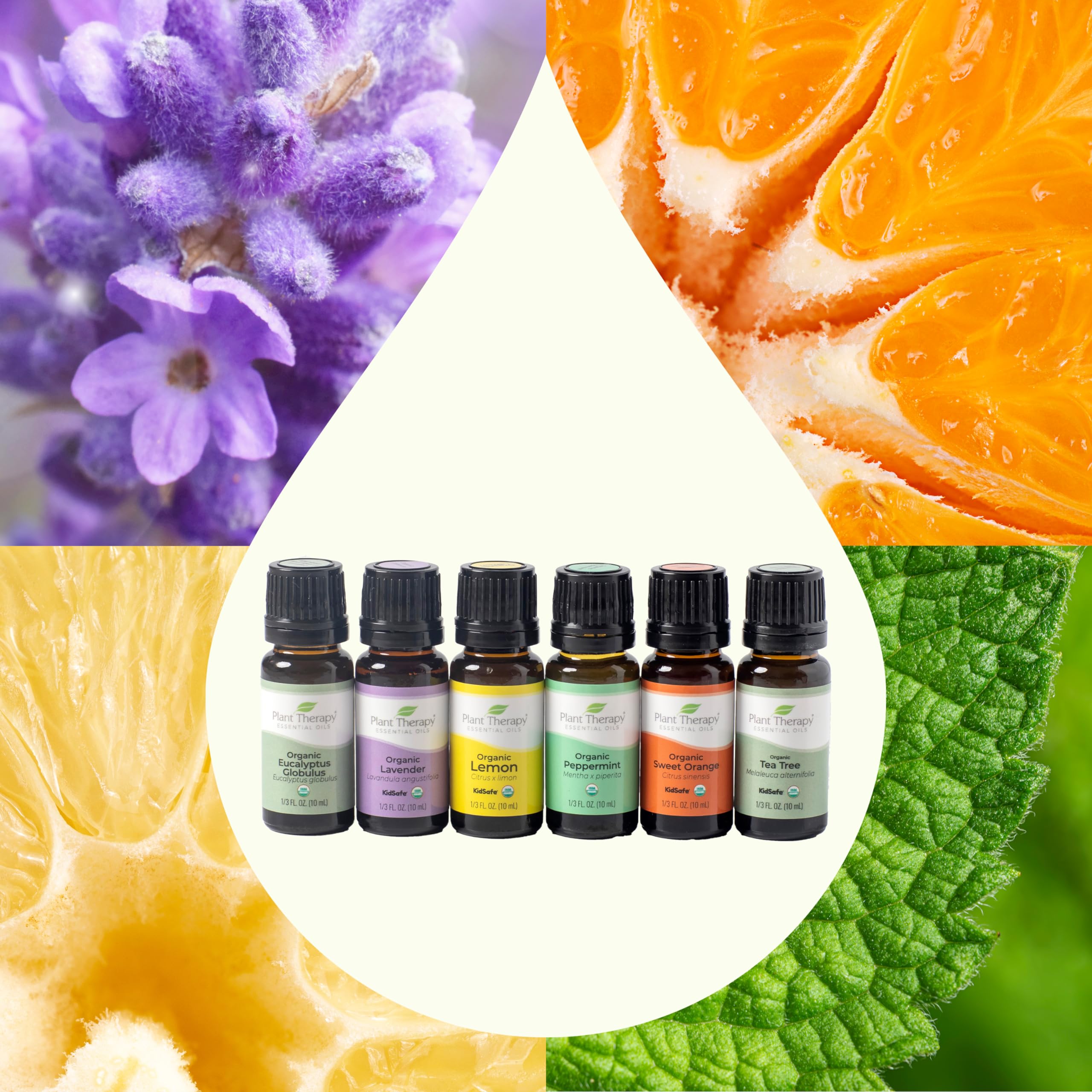 Plant Therapy Top 6 USDA Organic Essential Oil Set - Lavender, Peppermint, Eucalyptus, Lemon, Tea Tree 100% Pure, Natural Aromat