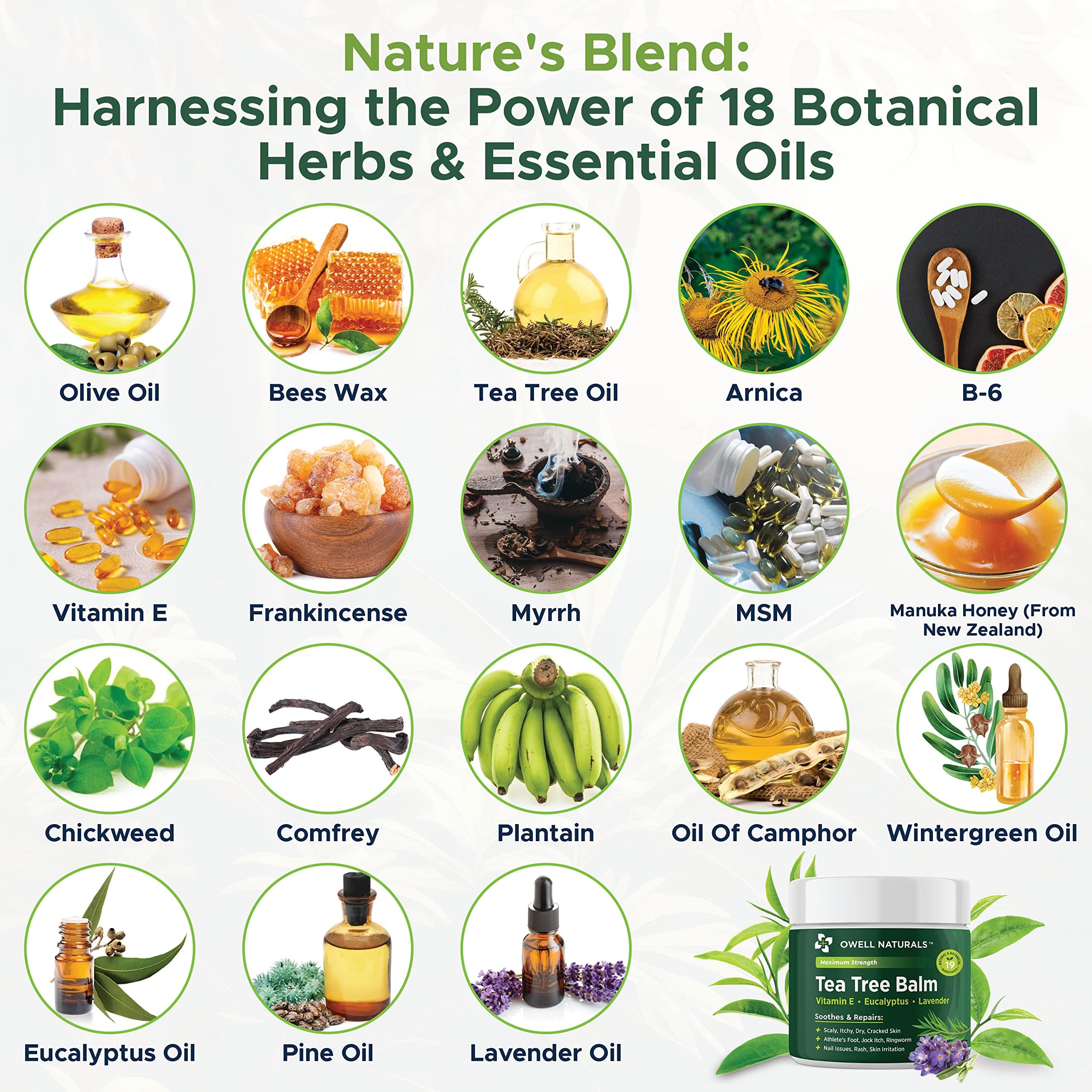 OWELL NATURALS Tea Tree Balm Oil with Vitamin E for Itchy, Dry, Flaky and Cracked Skin, Athletes Foot, Hands, Rashes, Bee Stings