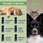 PURSONIC Pet Friendly Aromatherapy Essential Oils Collection, 6-Count - Safe for Dogs and Cats, Natural Relaxation and Stress Re