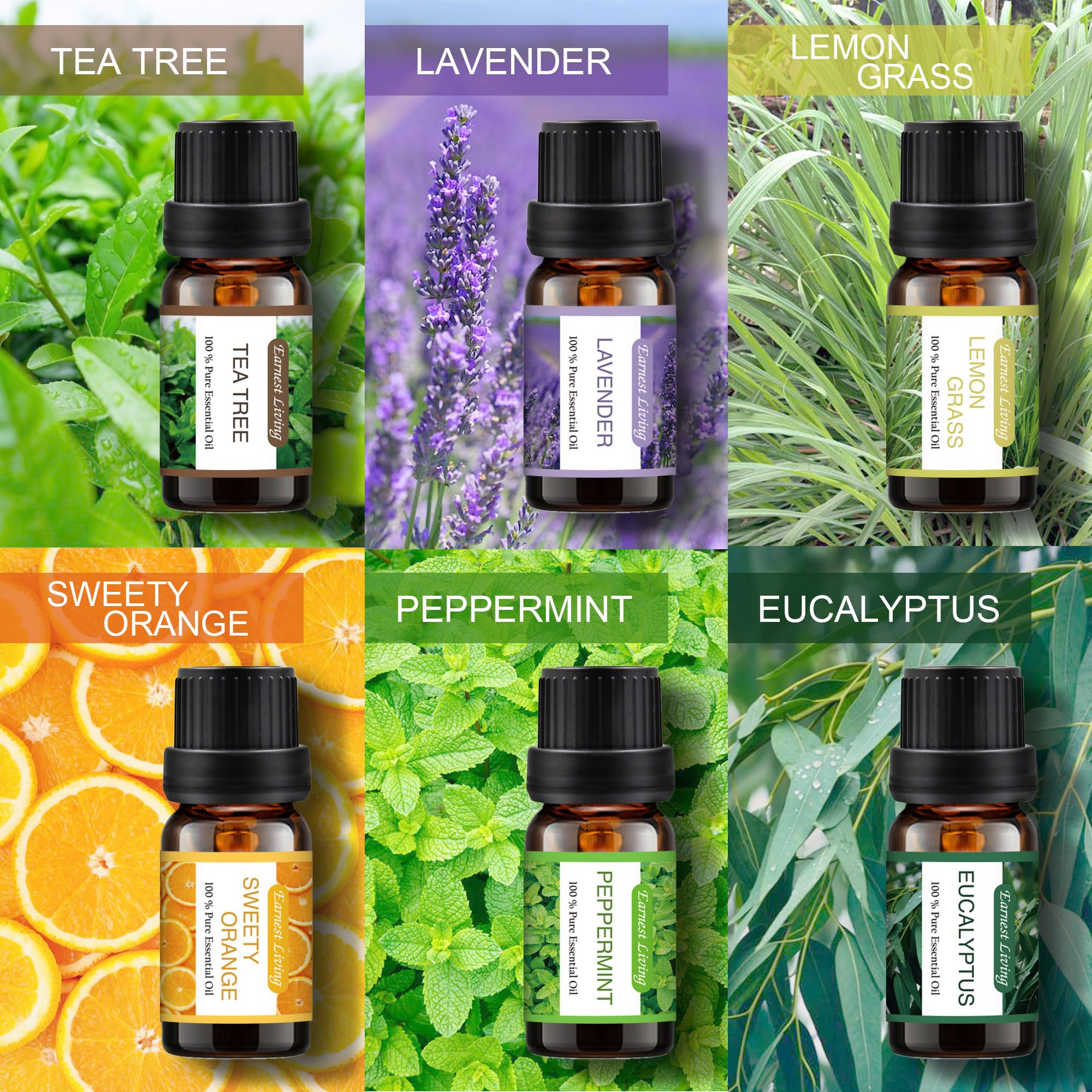 Earnest Living Tea Tree, Peppermint, Lavender, and Eucalyptus Essential Oil Set for Home Diffusers