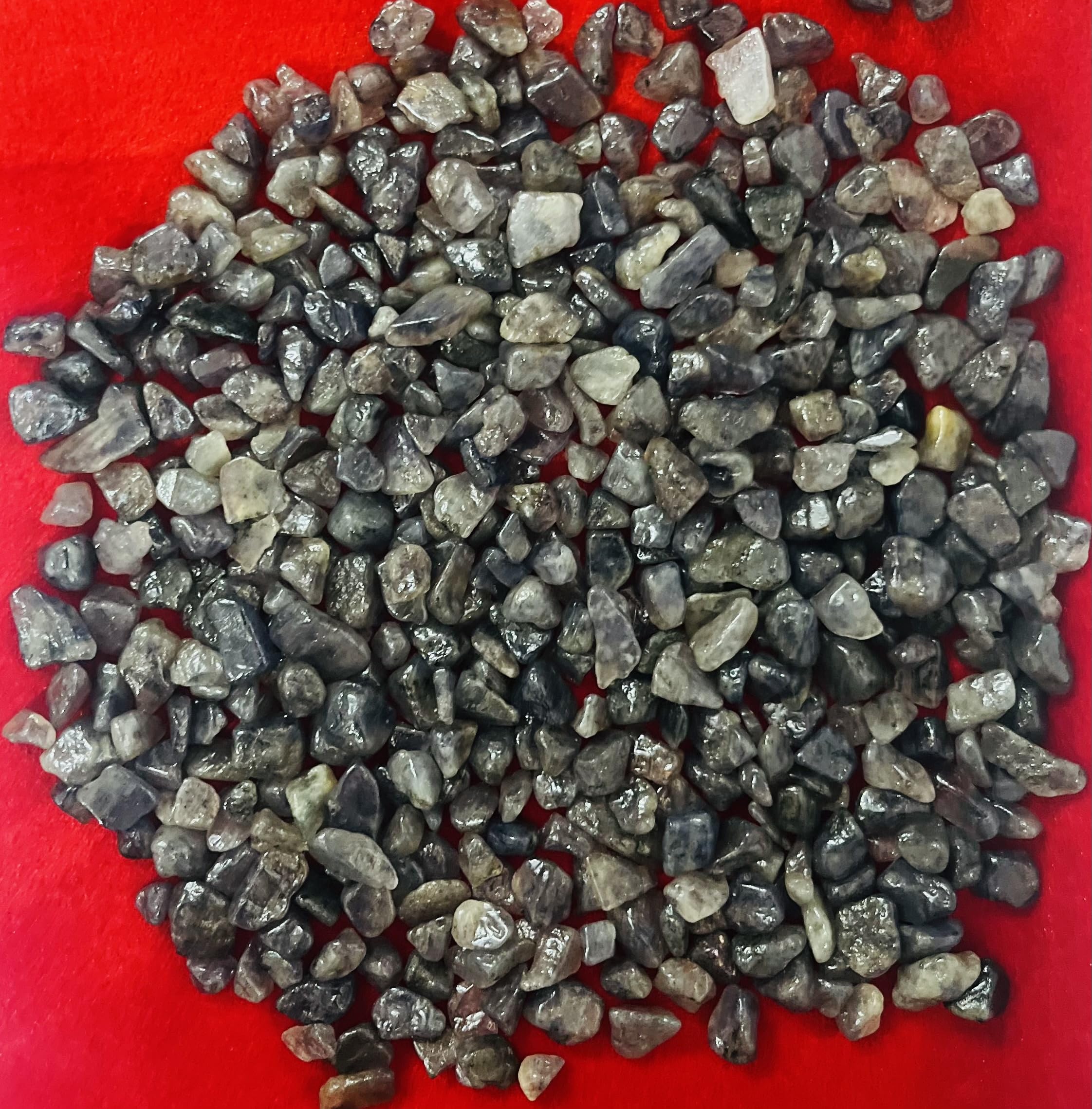 Indian Consigners Natural Crushed Polished Tumbled Gem Stone Chips, Decoration & Healing Crystals (Iolite)