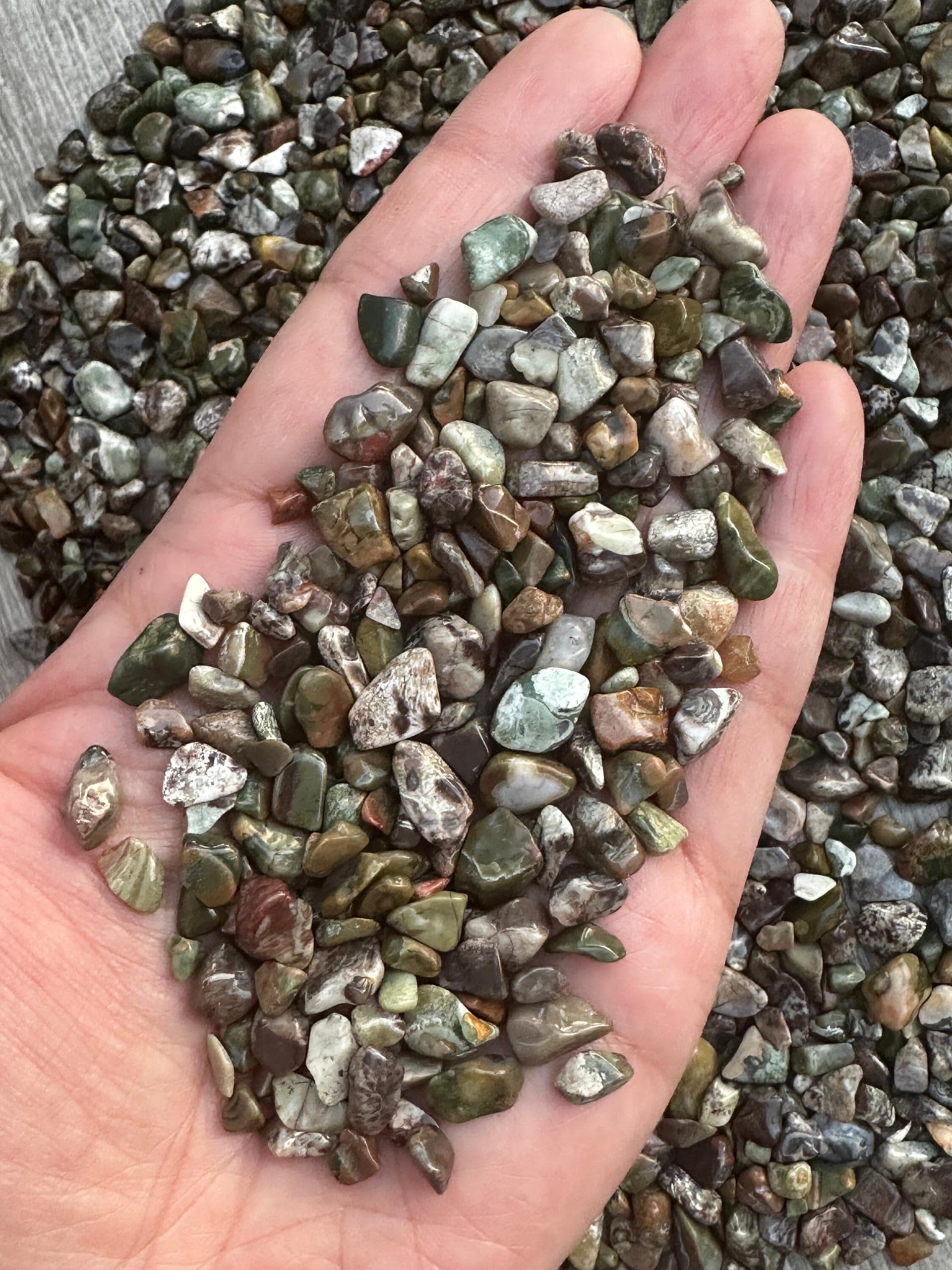 GAF TREASURES 2 oz Lot Natural Semi Tumbled Rhyolite Gemstone Chips, Crushed Mini Rhyolite Crystals, Undrilled Crystal Chips (Rh