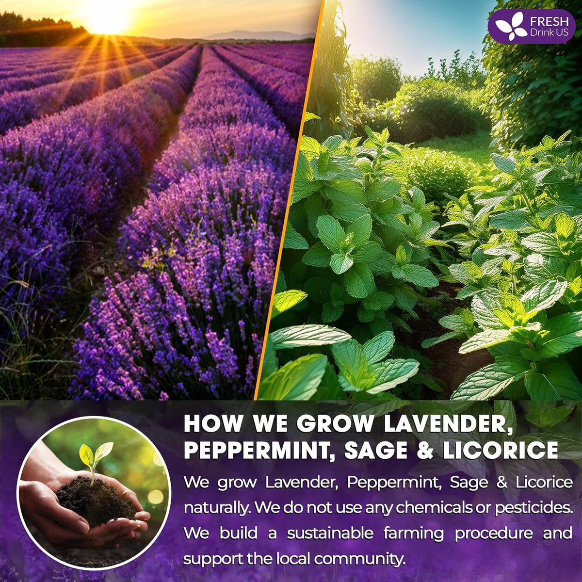Premium Lavender Mint Tea Bags