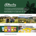 Ricola Berry Medley Oral Anesthetic, 19 Drops per Bag, 4-Pack Bundle