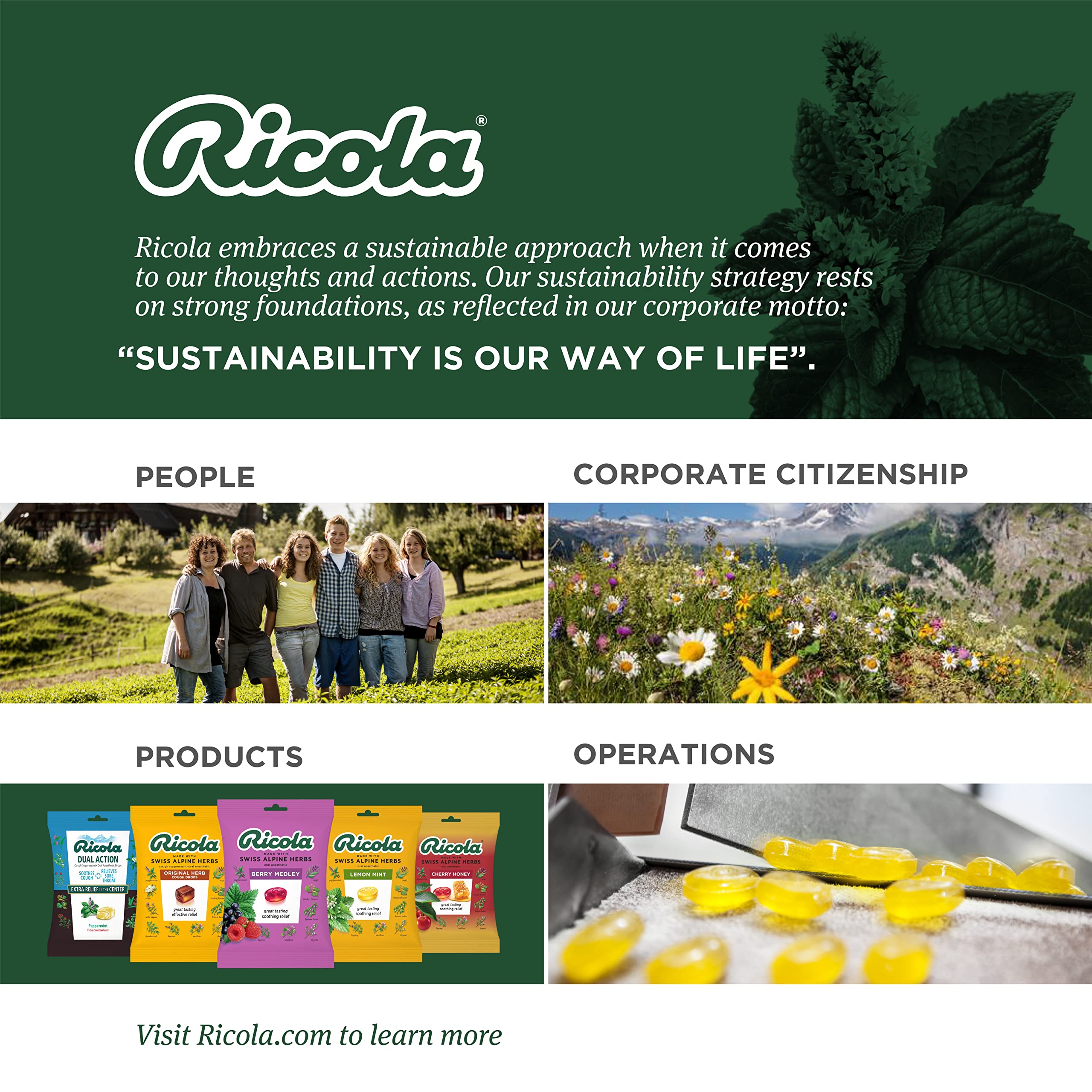 Ricola Berry Medley Oral Anesthetic, 19 Drops per Bag, 4-Pack Bundle