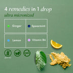 Stomach Bloom Tummy Tame Drops - 3X Better Absorption | Herbal Relief for Occasional Indigestion, Bloating, Gas, Nausea, Upset S