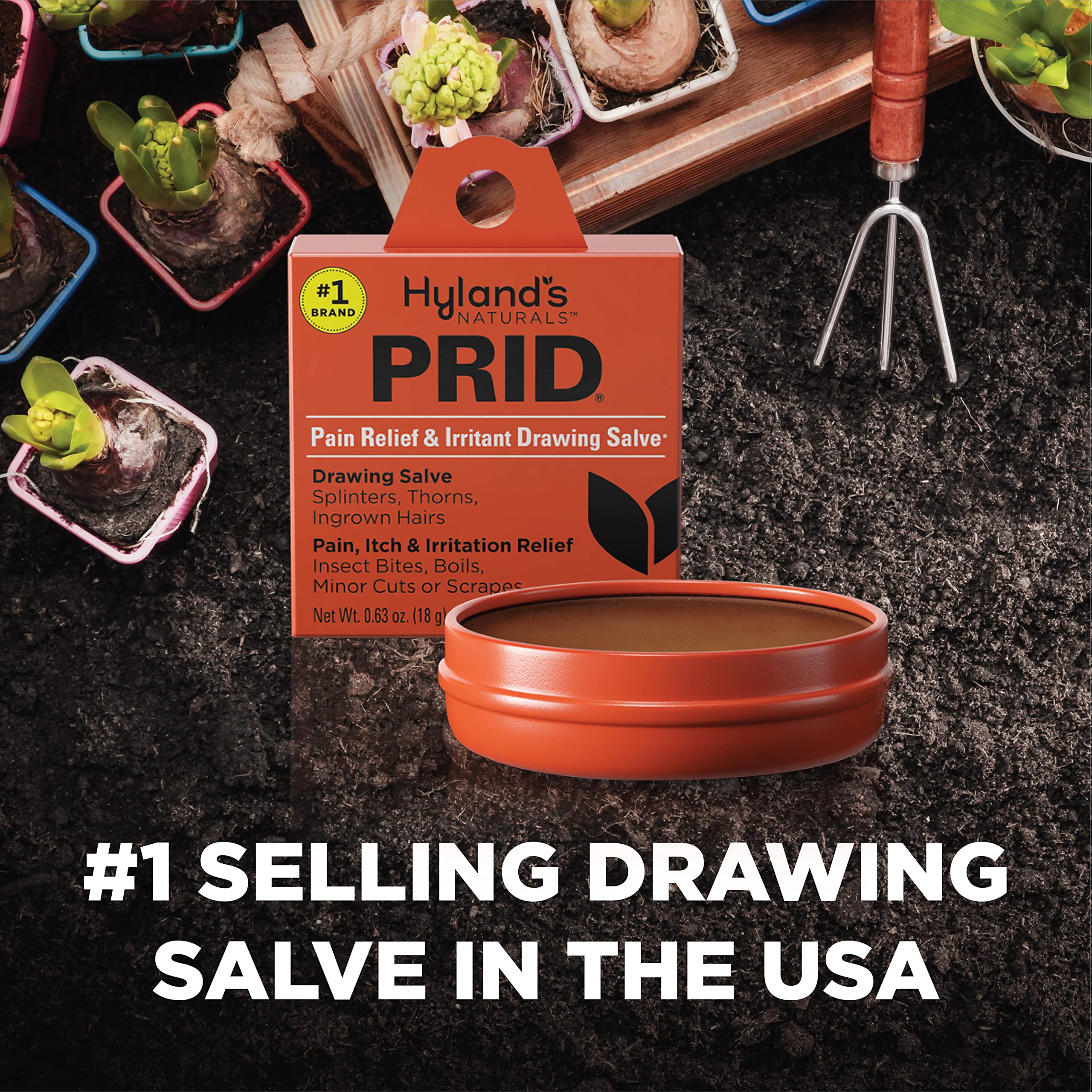 Hyland 's PRID Drawing Salve Naturals (2 Pack)