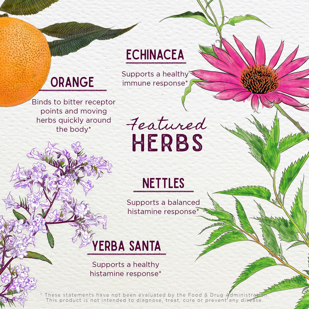 WishGarden Herbs Kick-Ass Allergy - Plant-Based Non-Drowsy Herbal Allergy Supplement with Nettle Leaf, Echinacea, & Yerba Santa,