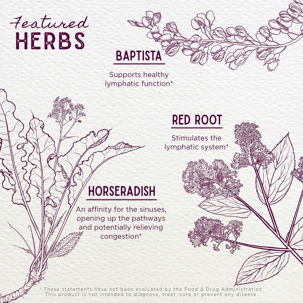 WishGarden Herbs Kick-Ass Sinus - Herbal Sinus Relief, Sinus Congestion Relief and Sinus Pressure Relief for Adults, Natural Sin
