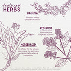 WishGarden Herbs Kick-Ass Sinus - Herbal Sinus Relief, Sinus Congestion Relief and Sinus Pressure Relief for Adults, Natural Sin