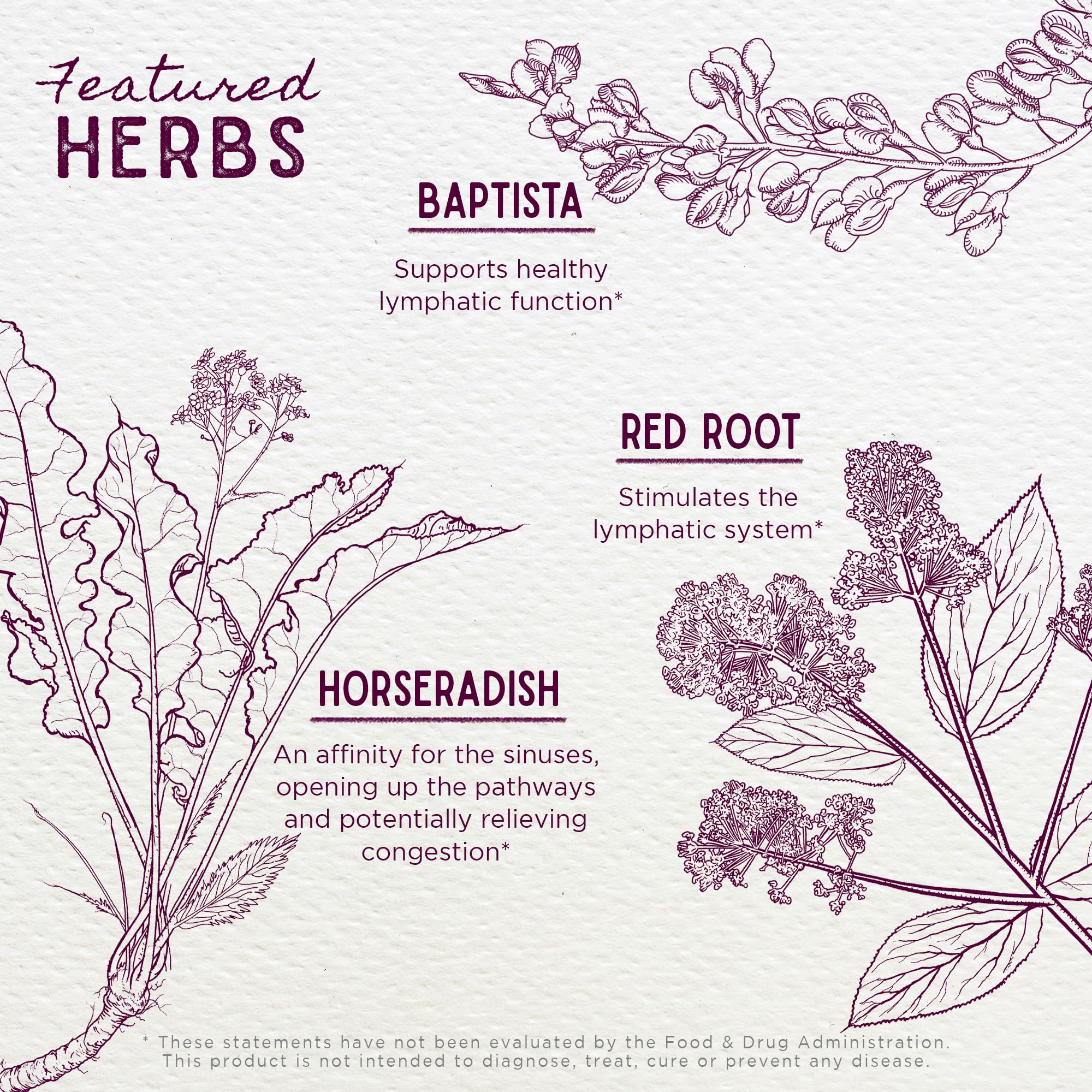 WishGarden Herbs Kick-Ass Sinus - Herbal Sinus Relief, Sinus Congestion Relief and Sinus Pressure Relief for Adults, Natural Sin