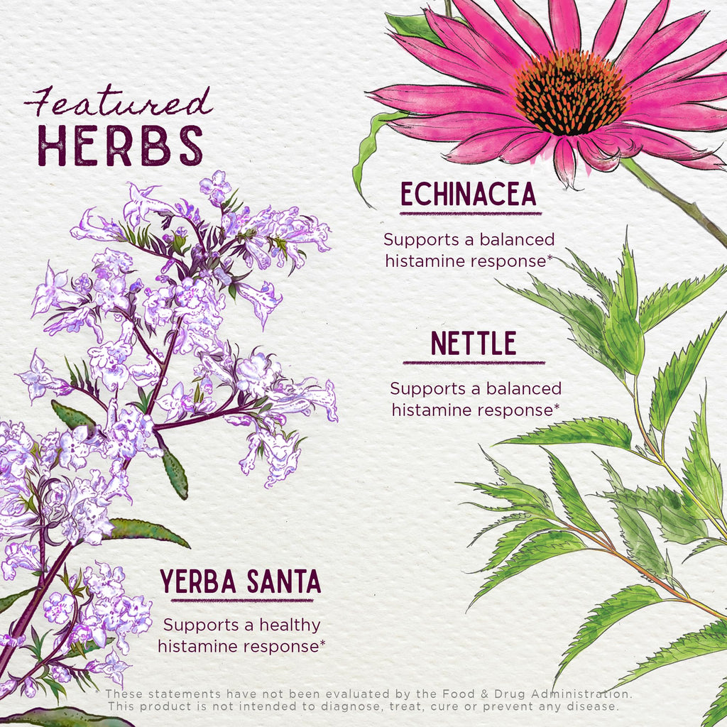 WishGarden Herbs Kick-Ass Allergy for Pregnancy - Plant-Based Herbal Allergy Supplement w/Nettle Leaf, Echinacea & Yerba Santa,